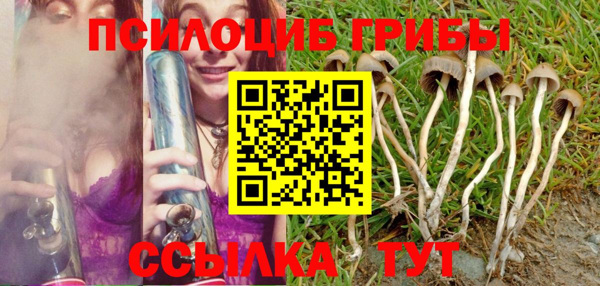 Галлюциногенные грибы MAGIC MUSHROOMS Советский